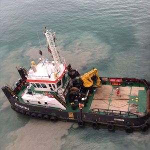 Image of Sea Buffalo